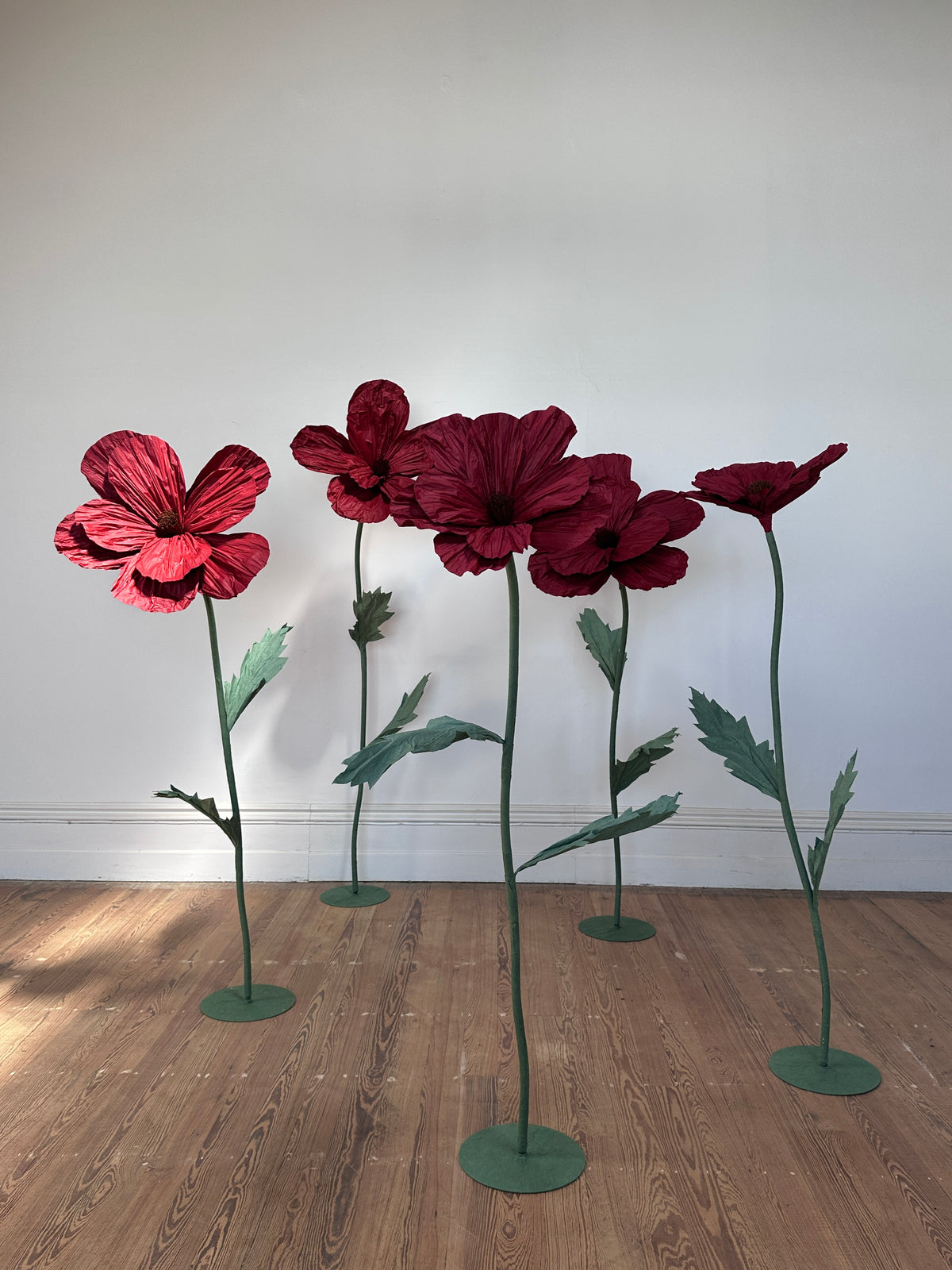 Poppies On Stand