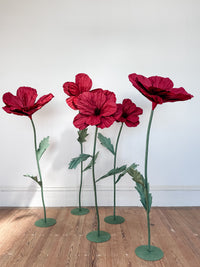 Poppies On Stand