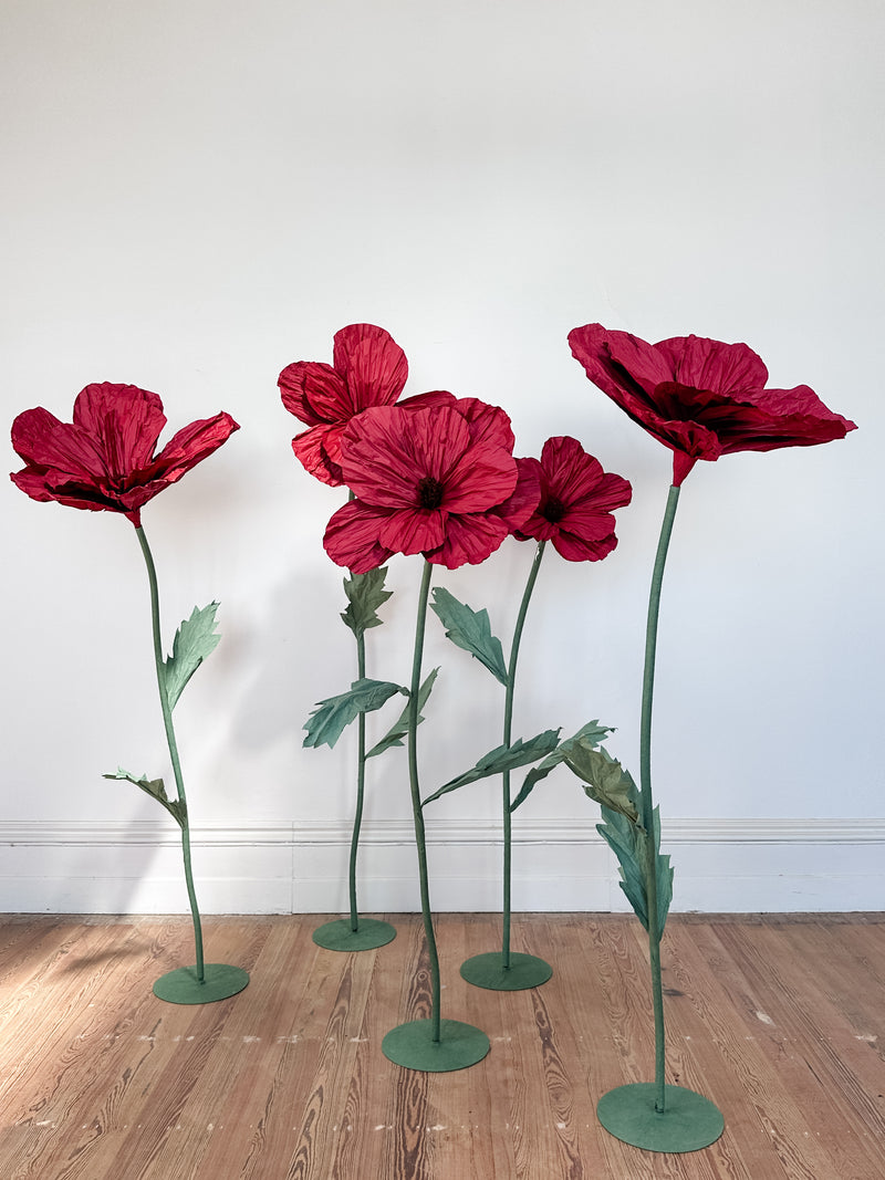 Poppies On Stand